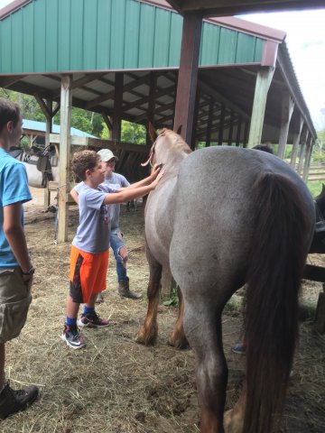 2017 Horseback Riding
